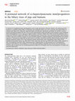 Research paper thumbnail of A postnatal network of co-hepato/pancreatic stem/progenitors in the biliary trees of pigs and humans