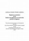 Research paper thumbnail of REGIMEN ECONOMICO DE LA UNION CONCUBINARIA EN EL DERECHO POSITIVO URUGUAYO