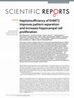 Research paper thumbnail of Haploinsufficiency of EHMT1 improves pattern separation and increases hippocampal cell proliferation