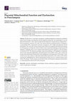 Research paper thumbnail of Placental Mitochondrial Function and Dysfunction in Preeclampsia