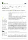 Research paper thumbnail of Powdery Mildew Fungus Oidium lycopersici Infected-Tomato Plants Attracts the Non-Vector Greenhouse Whitefly, Trialeurodes vaporariorum, but Seems Impair Their Development