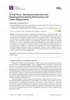 Research paper thumbnail of In Full Force. Mechanotransduction and Morphogenesis during Homeostasis and Tissue Regeneration