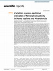 Research paper thumbnail of Variation in cross-sectional indicator of femoral robusticity in Homo sapiens and Neandertals