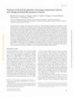 Research paper thumbnail of Positions of β2 and β3 subunits in the large-conductance calcium- and voltage-activated BK potassium channel