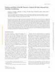 Research paper thumbnail of Position and Role of the BK Channel α Subunit S0 Helix Inferred from Disulfide Crosslinking