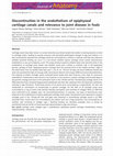 Research paper thumbnail of Discontinuities in the endothelium of epiphyseal cartilage canals and relevance to joint disease in foals