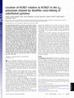 Research paper thumbnail of Location of KCNE1 relative to KCNQ1 in the I KS potassium channel by disulfide cross-linking of substituted cysteines