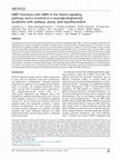 Research paper thumbnail of UBR7 functions with UBR5 in the Notch signaling pathway and is involved in a neurodevelopmental syndrome with epilepsy, ptosis, and hypothyroidism