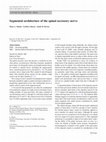 Research paper thumbnail of Segmental architecture of the spinal accessory nerve