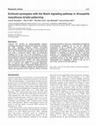 Research paper thumbnail of Echinoid synergizes with the Notch signaling pathway inDrosophilamesothorax bristle patterning