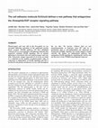 Research paper thumbnail of The cell adhesion molecule Echinoid defines a new pathway that antagonizes the Drosophila EGF receptor signaling pathway