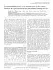 Research paper thumbnail of A hyperpolarization-activated, cyclic nucleotide-gated, (<i>I</i><sub>h</sub>-like) cationic current and HCN gene expression in renal inner medullary collecting duct cells