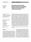 Research paper thumbnail of Myocardial protection evoked by hyperoxic exposure involves signaling through nitric oxide and mitogen activated protein kinases