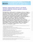 Research paper thumbnail of Epilepsy, hippocampal sclerosis and febrile seizures linked by common genetic variation around SCN1A