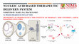 Research paper thumbnail of Nucleic Acid Based Therapeutic Delivery System