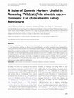 Research paper thumbnail of A Suite of Genetic Markers Useful in Assessing Wildcat (Felis silvestris ssp.)-- Domestic Cat (Felis silvestris catus) Admixture