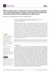 Research paper thumbnail of Relationships between Intraocular Pressure, Effective Filtration Area, and Morphological Changes in the Trabecular Meshwork of Steroid-Induced Ocular Hypertensive Mouse Eyes