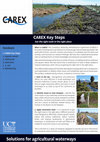 Research paper thumbnail of CAREX Toolbox Handout 1 - CAREX Key Steps