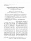 Research paper thumbnail of Sporulation of Metarhizium anisopliae and Beauveria bassiana on Coptotermes formosanus and in vitro