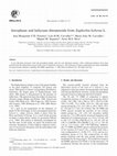 Research paper thumbnail of Jatrophane and Lathyrane Diterpenoids from Euphorbia hyberna L