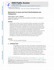 Research paper thumbnail of Mechanisms of larynx and vocal fold development and pathogenesis