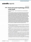 Research paper thumbnail of Root and canal morphology of third molar teeth