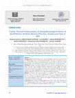 Research paper thumbnail of Canine Visceral Leishmaniasis; A Seroepidemiological Survey in Jiroft District, Southern Kerman Province, Southeastern Iran in 2015