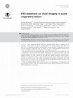 Research paper thumbnail of ERS statement on chest imaging in acute respiratory failure