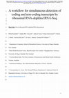 Research paper thumbnail of A workflow for simultaneous detection of coding and non-coding transcripts by ribosomal RNA-depleted RNA-Seq