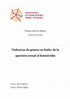 Research paper thumbnail of Violencias de género en Italia: de la agresión sexual al feminicidio