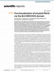 Research paper thumbnail of Functionalization of amyloid fibrils via the Bri2 BRICHOS domain