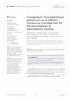 Research paper thumbnail of Corrigendum: Corynebacterium glutamicum as an efficient omnivorous microbial host for the bioconversion of lignocellulosic biomass