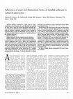 Research paper thumbnail of Adherence of yeast and filamentous forms of Candida albicans to cultured enterocytes