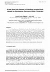 Research paper thumbnail of A New Heart Rot Disease in &lt;i&gt;Ailanthus excelsa&lt;/i&gt; Roxb. Caused by &lt;i&gt;Navisporus floccosus&lt;/i&gt; (Bres.) Ryvarden