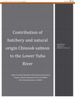 Research paper thumbnail of Contribution of hatchery and natural origin Chinook salmon to the Lower Yuba River