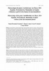 Research paper thumbnail of Paleoecología del género Anchitherium von Meyer, 1834 (Equidae, Perissodactyla, Mammalia) en España: evidencias a partir de las faunas de macromamíferos Paleoecology of the genus Anchitherium von Meyer, 1834 (Equidae, Perissodacyla, Mammalia) in Spain: evidence from macromammal faunas