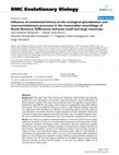 Research paper thumbnail of Influence of continental history on the ecological specialization and macroevolutionary processes in the mammalian assemblage of South America: Differences between small and large mammals