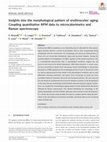 Research paper thumbnail of Insights into the morphological pattern of erythrocytes' aging: Coupling quantitative AFM data to microcalorimetry and Raman spectroscopy