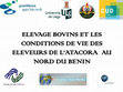 Research paper thumbnail of Elevage Bovins et les conditions de vie des éleveurs de l'Atacora au Nord du Bénin