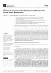 Research paper thumbnail of Periostin Is Required for the Maintenance of Muscle Fibers during Muscle Regeneration