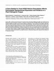 Research paper thumbnail of A Gene Related to Yeast <i>HOS2</i> Histone Deacetylase Affects Extracellular Depolymerase Expression and Virulence in a Plant Pathogenic Fungus