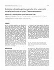 Research paper thumbnail of Biochemical and morphological characterization of the nuclear matrix during the synchronous cell cycle of Physarum polycephalum