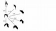 Research paper thumbnail of Figure S3 from Character displacement of a learned behaviour and its implications for ecological speciation