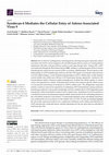 Research paper thumbnail of Syndecan-4 Mediates the Cellular Entry of Adeno-Associated Virus 9