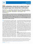 Research paper thumbnail of DNA methylation clocks tick in naked mole rats but queens age more slowly than nonbreeders