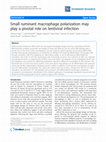 Research paper thumbnail of Small ruminant macrophage polarization may play a pivotal role on lentiviral infection