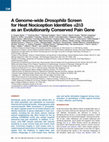 Research paper thumbnail of A Genome-wide Drosophila Screen for Heat Nociception Identifies α2δ3 as an Evolutionarily Conserved Pain Gene