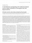 Research paper thumbnail of T-cell infiltration and signaling in the adult dorsal spinal cord is a major contributor to neuropathic pain-like hypersensitivity