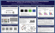 Research paper thumbnail of Shape-to-Color Associations in Non-synesthetes: Evidence for Emotional Mediation