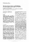 Research paper thumbnail of The Characterization of Np2O5C(c) and Its Dissolution in CO2-Free Aqueous Solutions at pH 6 to 13 and 25°C